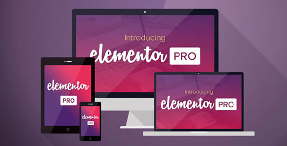 Elementor PRO WordPress Page Builder + Pro Templates